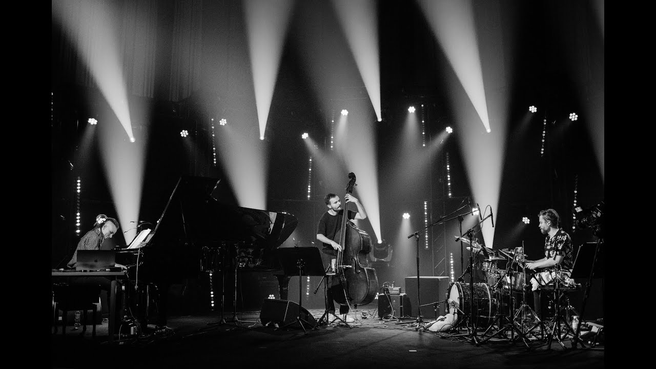 Guarda Joanna Duda Trio - Grasshopper/ Jazz Cerkno 2022 su YouTube Guarda Joanna Duda Trio - Grasshopper/ Jazz Cerkno 2022 su YouTube