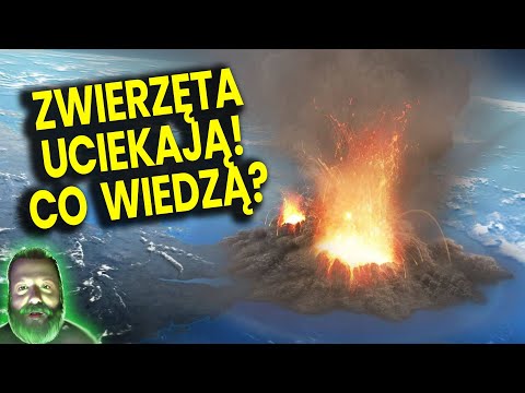 Animals Flee Yellowstone Park! Super Volcano Eruption Will Change the World! - Ator Analysis