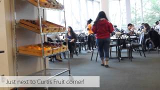 Celebrity Denison Readership Program Net Worth