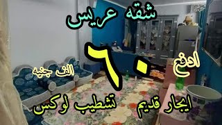 شقه عريس لقطه ادفع ٦٠ الف واستلم شقتك ايجار قديم عالمفتاح تشطيب سوبر لوكس