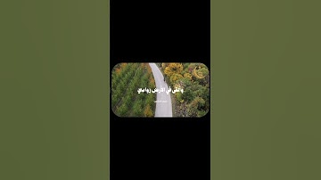 سورة لقمان 10 | خَلَقَ السَّمَاوَاتِ بِغَيْرِ عَمَدٍ | بصوت القارئ المنشاوي