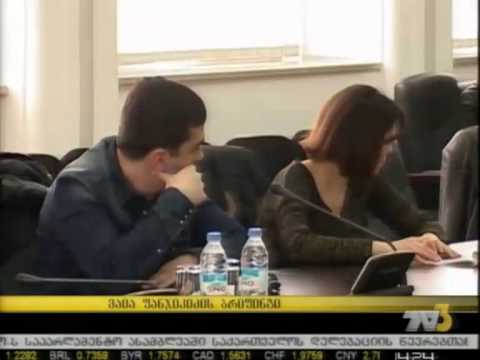 მაია ფანჯიკიძის ბრიფინგი