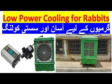 Best and cheap Cooling System in Summers for Rabbits Cooling Pad Mini ...