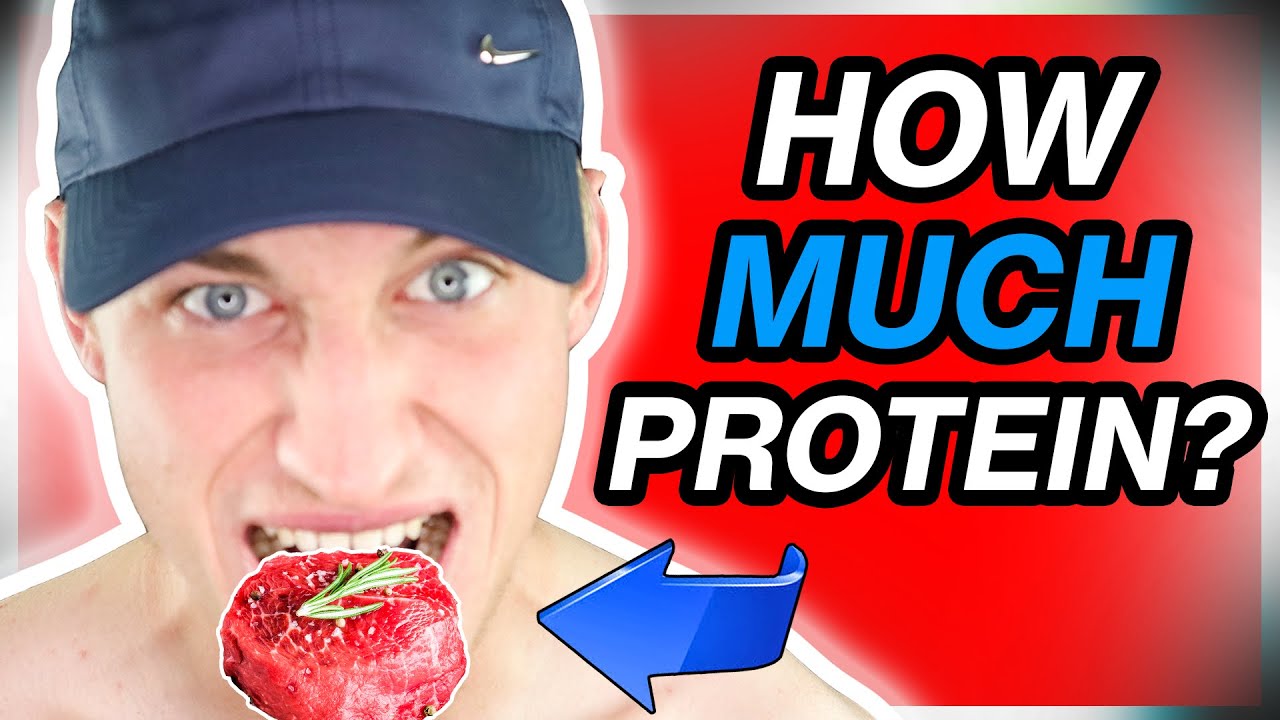 How Much PROTEIN Per Day To BUILD MUSCLE! - YouTube