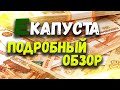 ЕКАПУСТА ОТЗЫВЫ. ЕКАПУСТА ЗАЙМ ОНЛАЙН. EKAPYSTA