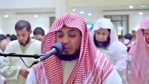 يا لها من تلاوة تقشعر لها الأبدان للقارى سعيد الخطيب حفظه الله، آيات من سورة النمل، من أجمل ما سمعت