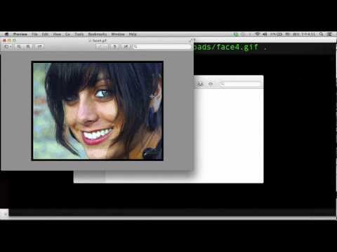 Python script disguised as an image file