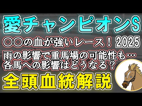 【愛チャンピオンステークス2025 血統考察】2つの要素を併せ持った馬が狙い目！？ドラクロワとシンエンペラーが激突する注目レース！雨予報の影響は如何に…【リュウタロウ/競馬Vtuber】