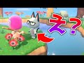 【あつ森】初めての住人厳選で超人気キャラを神引きしてしまい追い出すと言い出す奴がいるらしいww【あつまれどうぶつの森】【島民ガチャ/住民/ジャック】【プレゼント企画有】