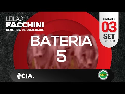 BATERIA 5 LEILÃO FACCHINI 2022