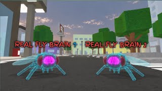 I Made Two Real Flies Brain Fight Each other in JJS screenshot 3