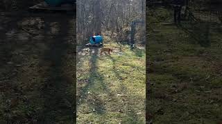 Hunting Like She Is Supposed To