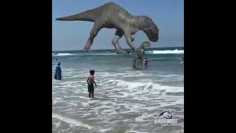 Dinossauro Rex Versus  Tiranossauro na praia #Shorts