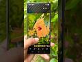 Samsung S24 Ultra Camera Test #photography #mobilephone #shorts #review