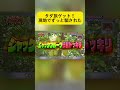 無料旅行の代償が重すぎるw行く先々でドッキリ発動
