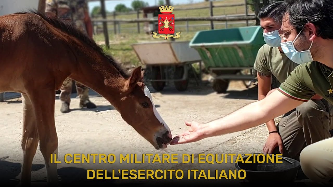 Il Centro Militare di Equitazione dell’Esercito Italiano