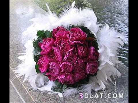 بقايا الرماد رمضان كريم شعر لكامل هابيل 