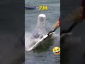 Top Funny Flugtag Fails of All Time Revealed! #shorts #trending #funny  @MrBeast