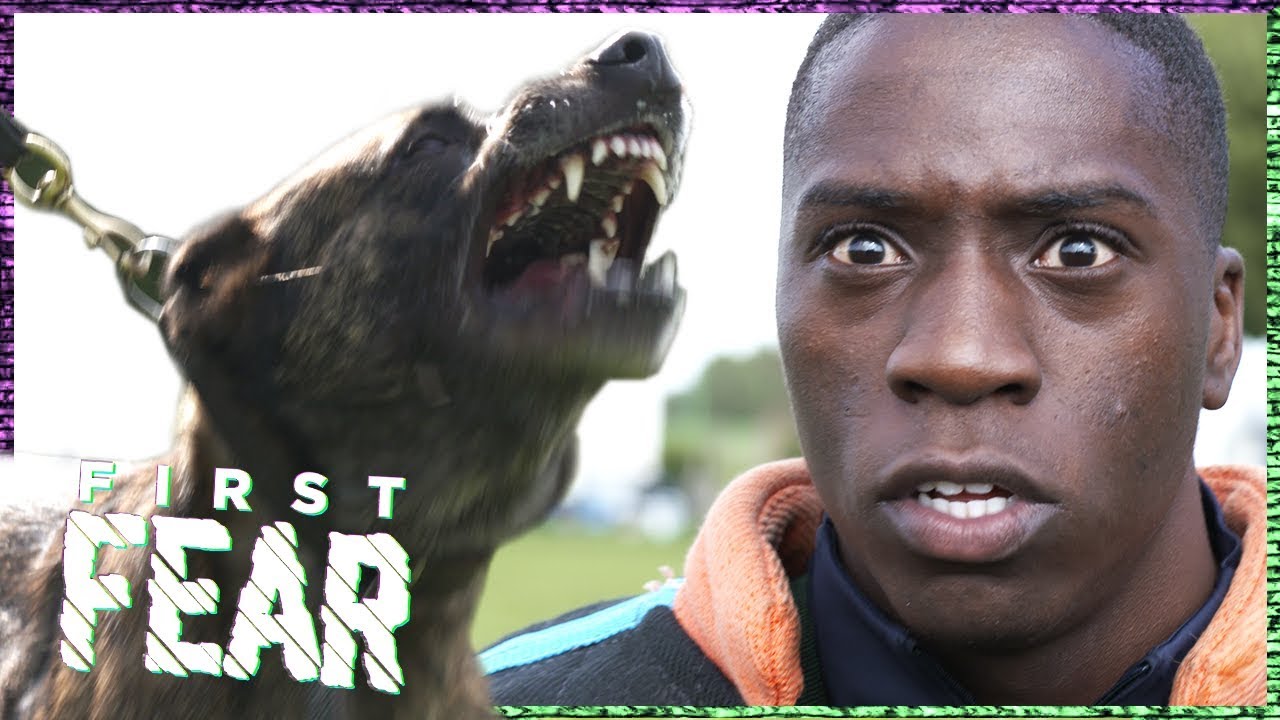 OUASSIMA en TA JOELA AANGEVALLEN door POLITIEHOND | FIRST FEAR