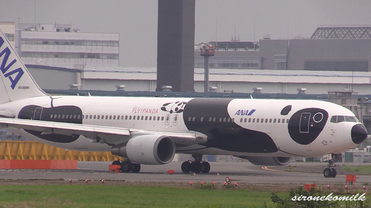 ANA・FLY!パンダ hq720.jpg?sqp=-