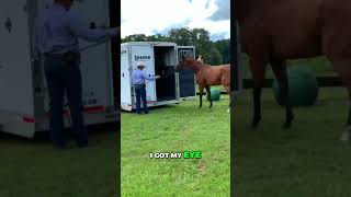 Are you being mean on accident??? #horses #horsetraining #horsemanship #trailerloading