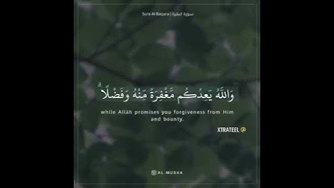 أرح سمعك 🥀القارئ: عبدالله الموسى🍃حالات واتس آب