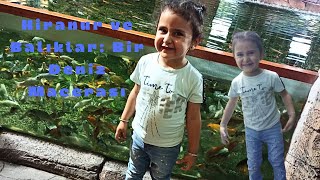 Hi̇ranur İle Balik Dünyasi Turu Bi̇rbi̇ri̇nden Renkli̇ Eğlenceli̇ Baliklar Deni̇z Alti Dünyasi Eğlenceli̇