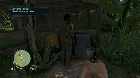 Screen Space Ambient Occlusion is the definition of insanity [Far Cry 3]