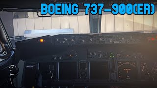 I Went Inside the COCKPIT of This Boeing 737-900(ER)