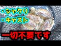 君たちはダイソー100円エギを使った宇宙一簡単なエギングを知っているかい?