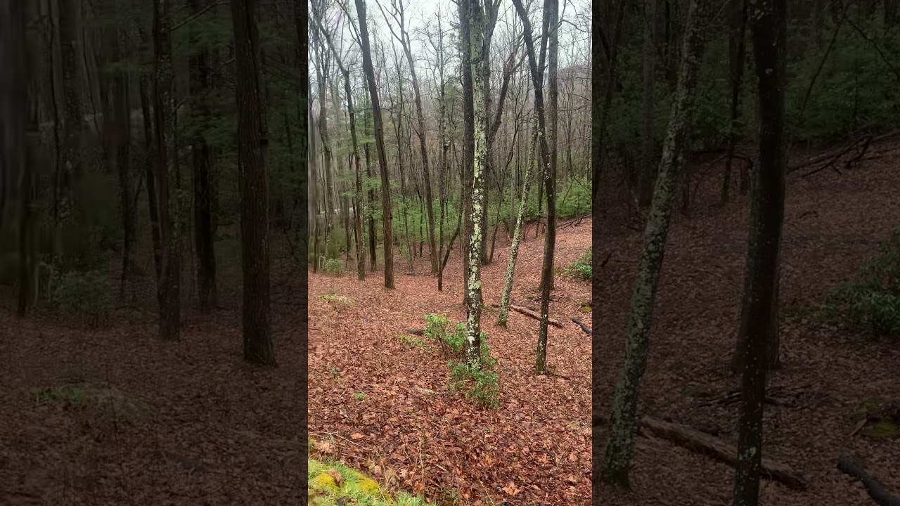 840 Little Bearwallow Gerton NC Lot