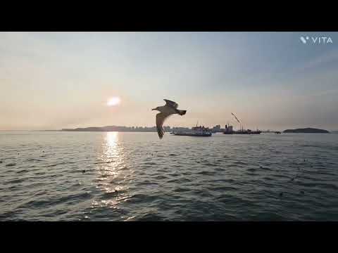 눈물이 삼킨 말 조항조 2025 7신곡 가사첨부