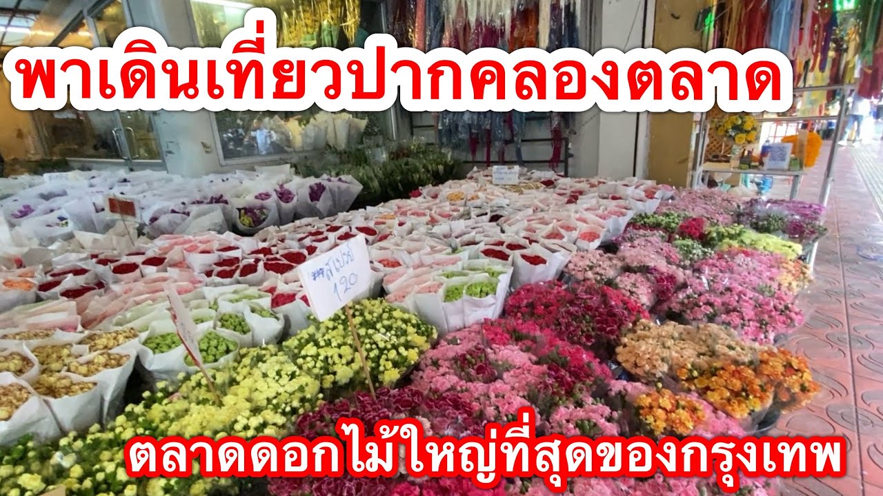 ปากคลองตลาด พาเดินเล่นดูดอกไม้ที่ ปากคลองตลาด