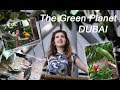 The Green Planet. Dubai - Воссозданные Леса Амазонки в Дубае