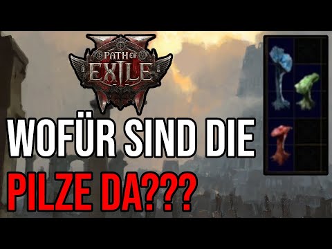 POE 2 - Wofür sind die Pilze in Akt 3 da? | Mushroom Quest in Act 3 ...