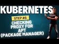 Kubernetes Cluster - Checking proxy for apt (package manager) access