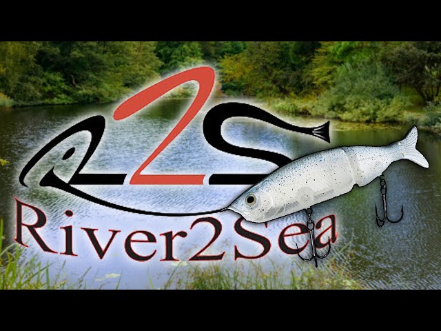 Bass Fishing From the Bank using S Waver 168 