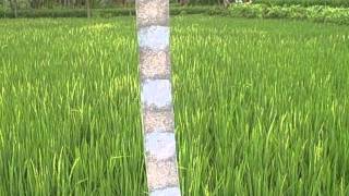 VID00011 2