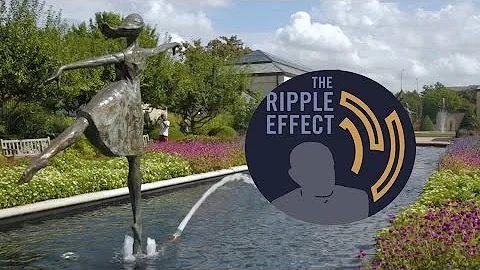The Ripple Effect | Exploring the history of Kauff...