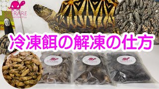 冷凍餌の解凍の仕方 Youtube