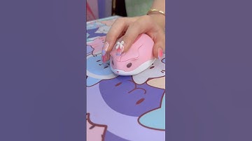 cute wireless mouse 🐁 Akko Hamster plus Momo 💗