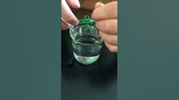Daily STEM: Can you float a paperclip on water?   “That’s too easyyy”