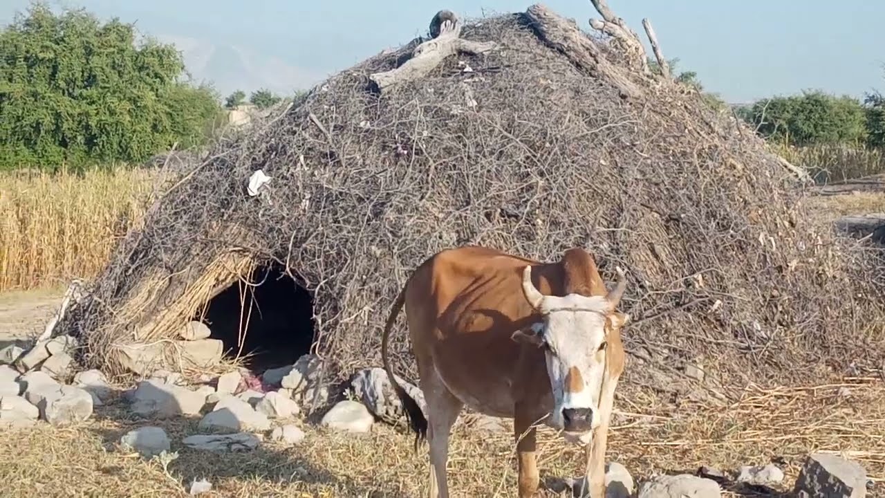 Beautiful Natural Village of Balochistan 💝💝💝 || Best Village Life|| #beautifulnature #villagelife