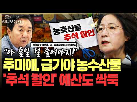 "야, 줄일 걸 줄여야지... 도민께 죄송" 추미애, 농수산물 '추석 할인' 예산도 싹둑 #추미애 #경기도의회 #김성남 #추석물가 #슬라생_260923
