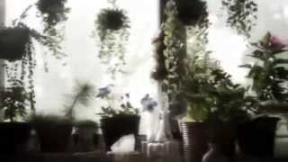 Herb Weidner Forget me not