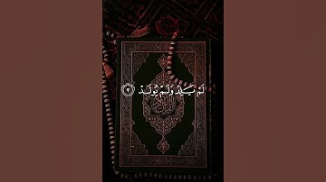 #تلاوة #ياسر_الدوسري #سورة_الإخلاص #مجالس_الترتيل #majalis_al_tarteel #تلاوة_خاشعة #رمضان #ramadan