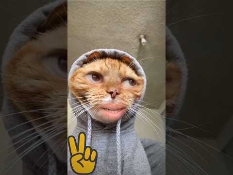 المش خرج على السيطرة 