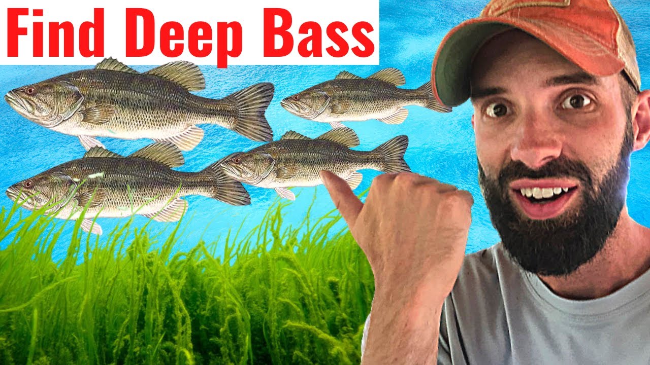 Easiest Way to Catch Deep Water Bass