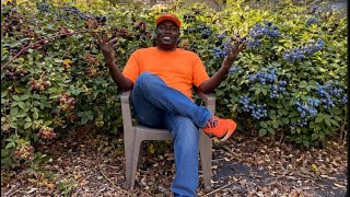 Stop Fertilizing Your Berries Wrong Do This Instead