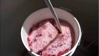 Making Plum Wine 1